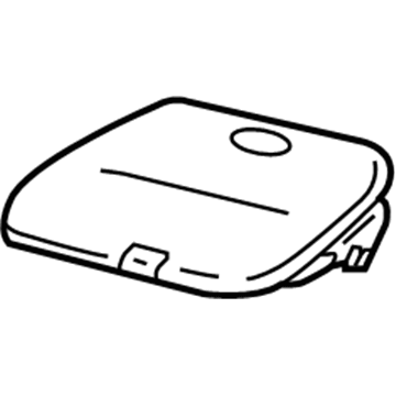 GM 10319954 Headlamp Door, Driver Side