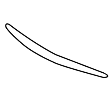 GM 15276881 Molding, Passenger Side