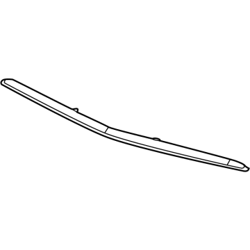 GM 85593611 Center Molding, Silver, Lower