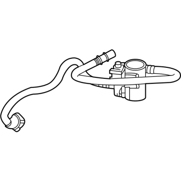 Chevy Silverado 2500 HD Canister Purge Valves - 84833401