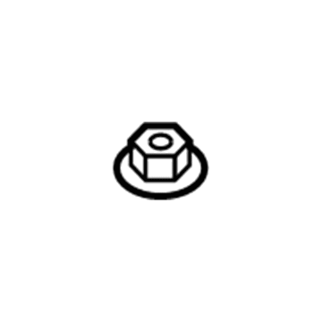 Chevy 95395062 Drip Channel Nut