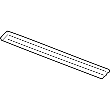 GM 15199292 Body Side Molding, Black Grained, Outer Driver Side