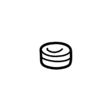 Buick 14001875 PCV Valve Grommet