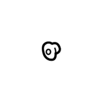 GM 12594364 Pulley Washer