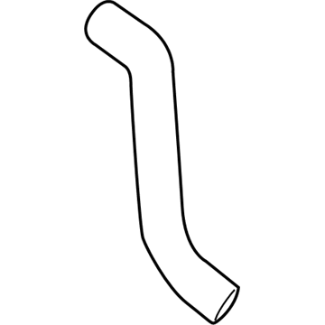 Chevy City Express Radiator Hose - 19317259