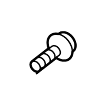 Chevy 11561763 Lower Hinge Bolt