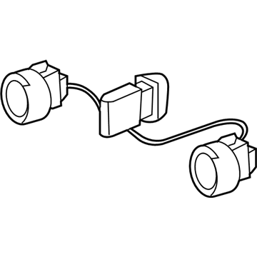 GM 19121867 Socket & Wire
