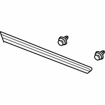 Cadillac Door Moldings - 84276449