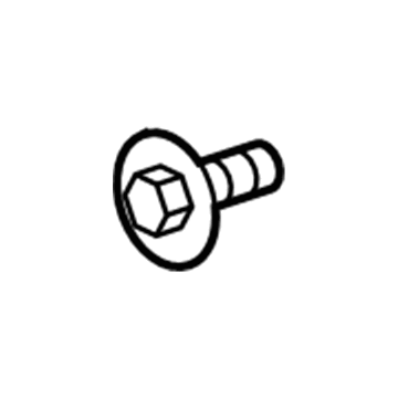 Chevy 11609489 Side Trim Panel Bolt