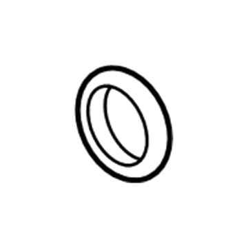 GM 25863011 Lamp Bezel, Front