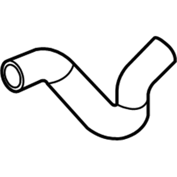 GM 15891668 Lower Hose