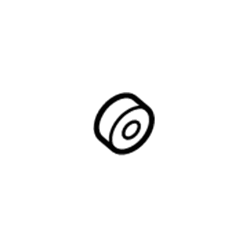 GM 10042521 Engine Cover Retainer Nut