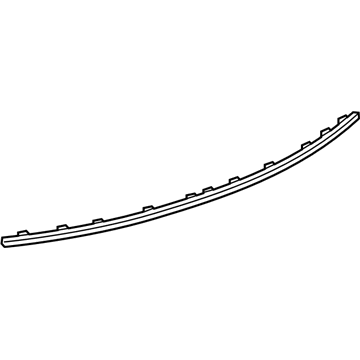 GM 23109664 Trim Molding, Rear Lower