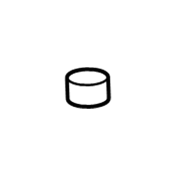 GM 10390945 Hinge Cap