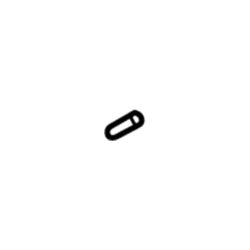 GM 12450074 Dome Lamp Bulb