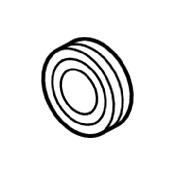 Chevy A/C Idler Pulley - 96940406