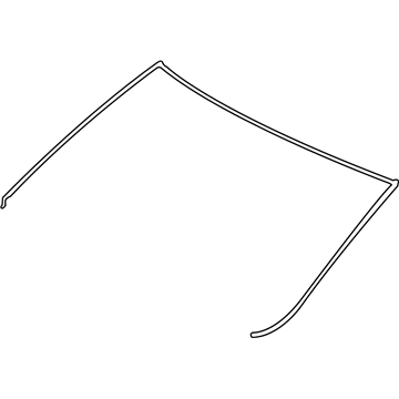 GM 10333759 Reveal Molding