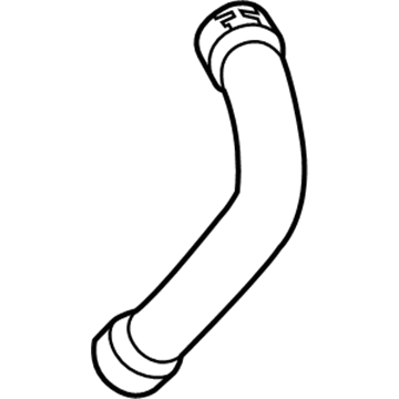 GM 96870761 Lower Hose