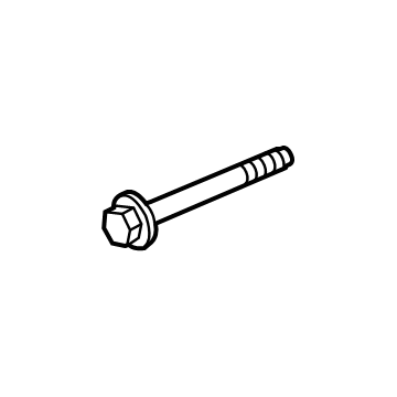 GM 11549422 Shock Bolt, Rear Lower