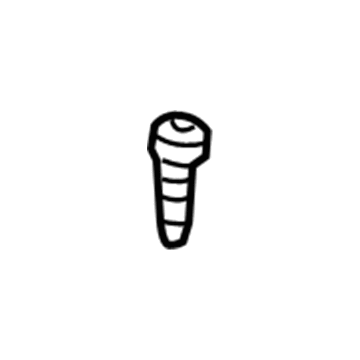GM 11589208 Protector Screw