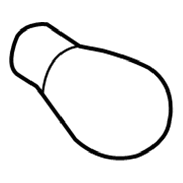 GM 19317621 Tail Lamp Bulb