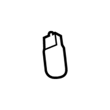 Buick 13500812 Reading Lamp Bulb