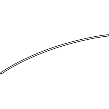 GM 95055060 Seal Strip