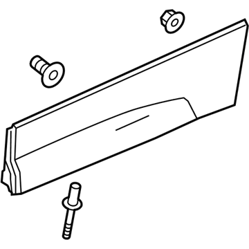 GM 84506778 Lower Molding, Black, Rear Driver Side