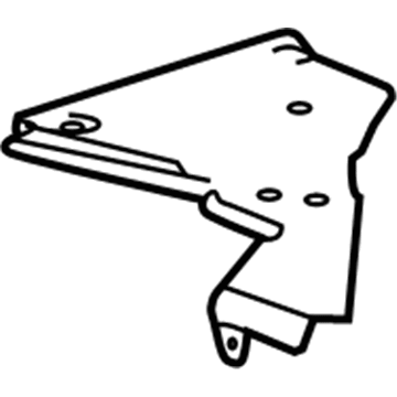 GM 20983580 Outer Panel, Driver Side