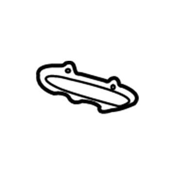 GM 22653366 Molding, Front Passenger Side