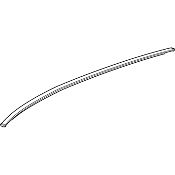 GM 42577931 Drip Molding, Passenger Side