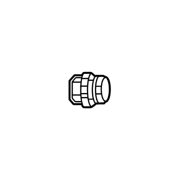 Chevy Drain Plug - 24299298