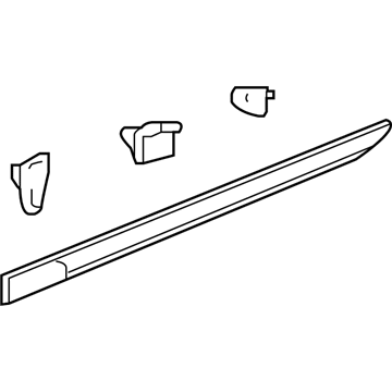 GM 23264125 Body Side Molding, Outer Passenger Side