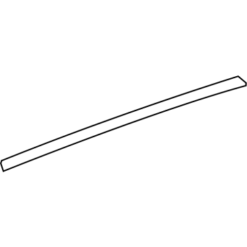 2023 Cadillac LYRIQ Door Moldings - 84717096