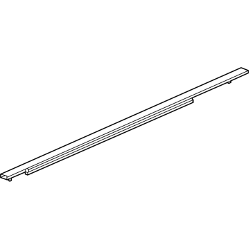 2023 Cadillac LYRIQ Door Moldings - 85590286