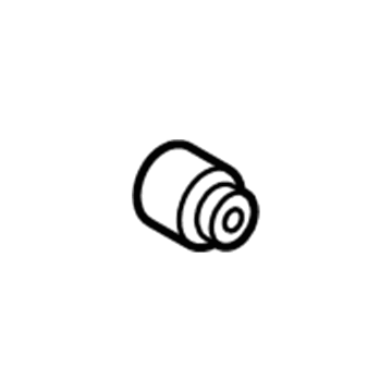 GM 13257313 Inner Bushing, Rear