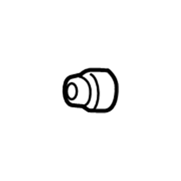 GM 52471377 Valve Cap, Driver Side
