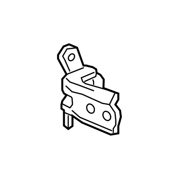 GM 13581570 Lower Hinge, Rear