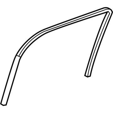 GM 20939317 Run Channel, Rear Outer Driver Side