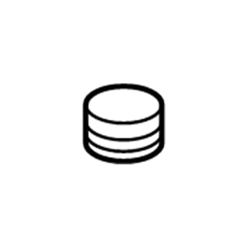 GM 25631814 Reservoir Cap