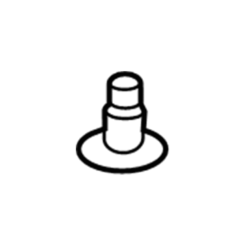 GM 23172728 Door Weatherstrip Retainer