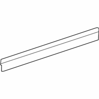 Buick Terraza Door Moldings - 19120003 Body Side Molding, Outer Driver Side