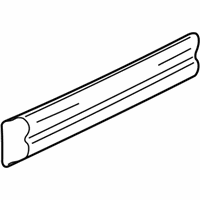 Chevrolet Door Moldings - 30025230 Side Molding, Outer Passenger Side