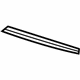 GM 21997968 Molding, Passenger Side