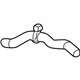 GM 23436683 Upper Hose