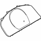 GM 19316396 Cluster Lens, Driver Side