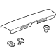 GM 42647023 Handle Molding, Rear Center