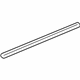 GM 21995157 Belt Weatherstrip, Front Outer Driver Side