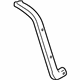 GM 30022339 Molding, Passenger Side