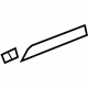 GM 20849931 Molding
